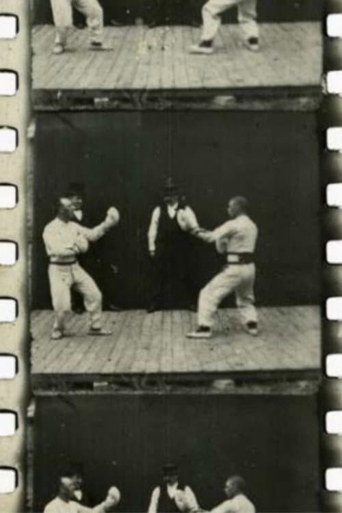 A French Boxing Contest