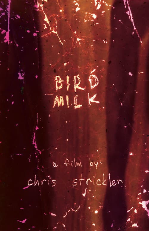 Bird Milk